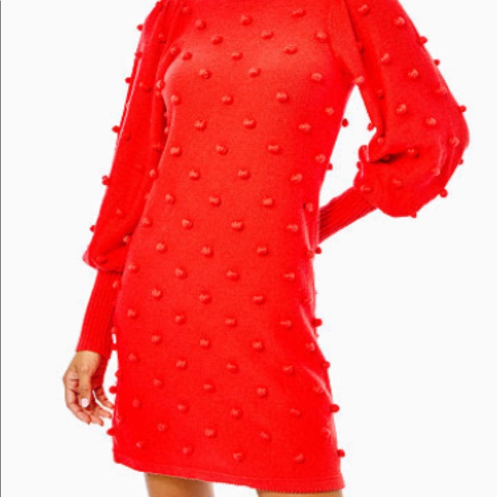NWT Lilly Pulitzer Kippa Sweater Dress
SKU:	889069816322
Color:	Ruby Red
Size:	M